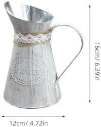 Vintage Iron Watering Can for Indoor Plants and Home Decor