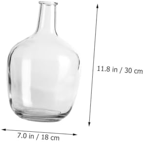 STOBAZA Clear Hydroponic Vase for Indoor Decor