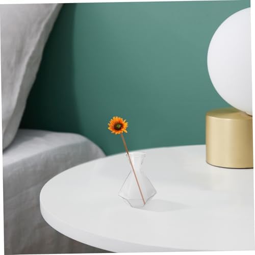 2pcs Glass Bud Vase for Plant Propagation Vintage Style Home Office Decor