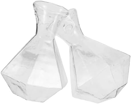 2pcs Glass Bud Vase for Plant Propagation Vintage Style Home Office Decor