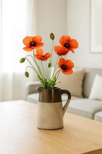 Two-Tone Ceramic Pitcher with Handle and Spout