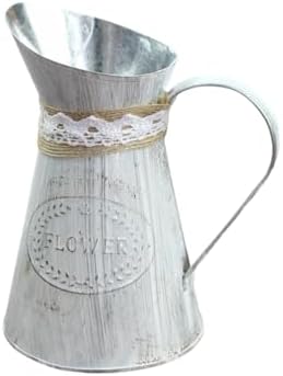 Vintage Iron Watering Can for Indoor Plants and Home Decor