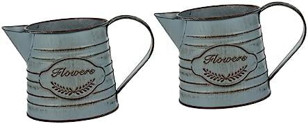 Antique Iron Flowerpot Decorative Vase for Home Office Bonsai Arrangement Vintage Design 2pcs Set