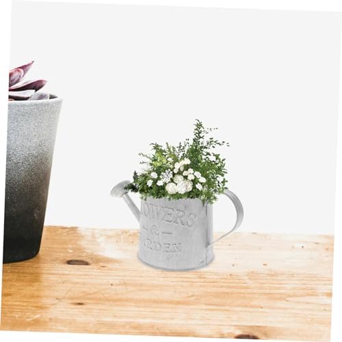 3pcs Vintage Galvanized Metal Flower Vase Watering Can Plant Holder