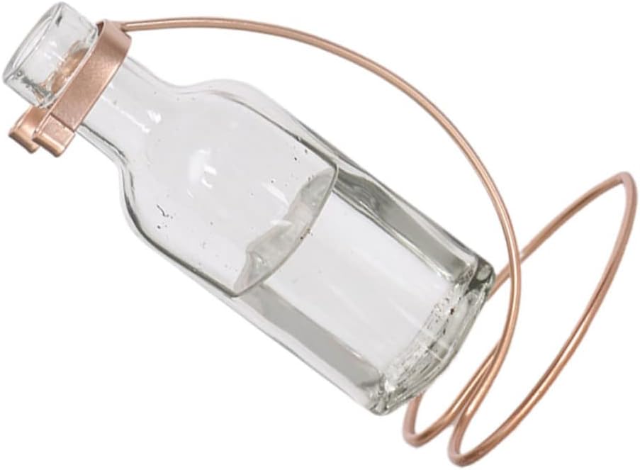 STOBAZA Sturdy Iron Base Glass Vase for Home Office Decor