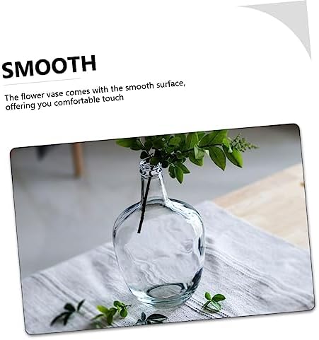 STOBAZA Clear Hydroponic Vase for Indoor Decor