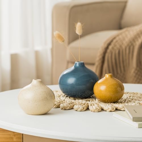 Ceramic Vase Set of 3 for Home Decor