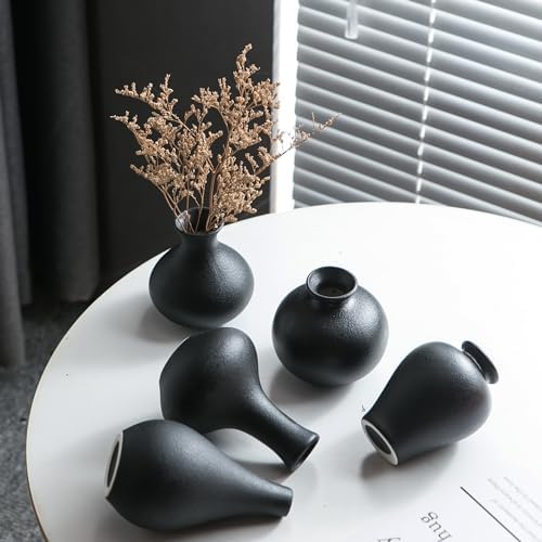 Tanvecle Small Black Ceramic Vase Set of 5