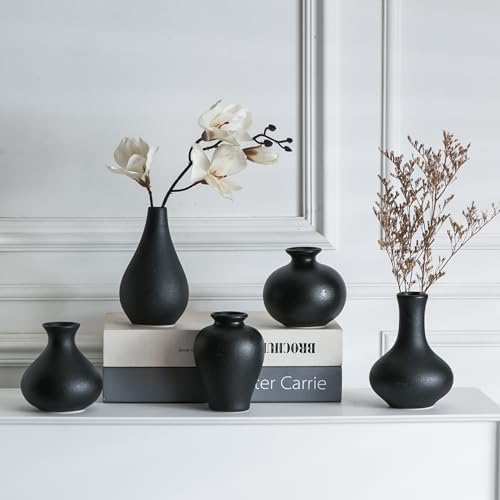Tanvecle Small Black Ceramic Vase Set of 5