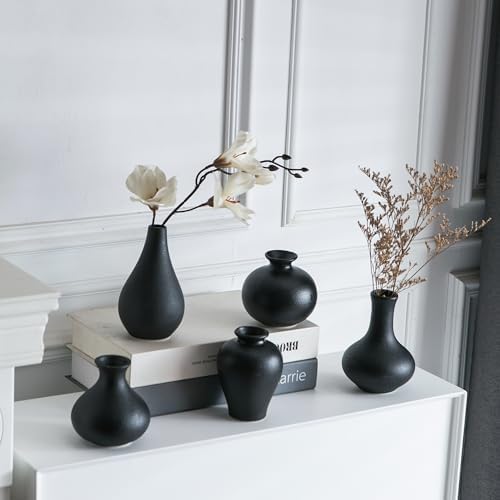 Tanvecle Small Black Ceramic Vase Set of 5