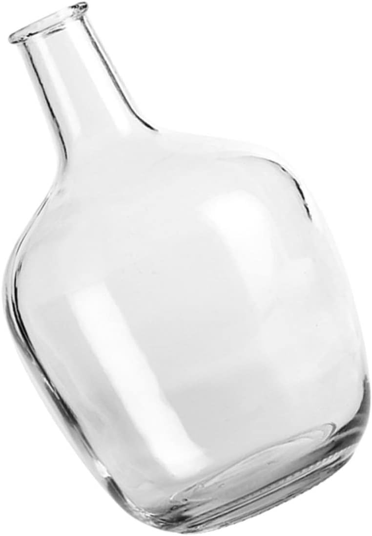 STOBAZA Clear Hydroponic Vase for Indoor Decor