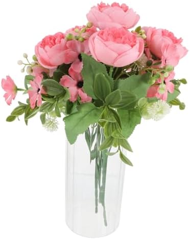 STOBAZA Clear Hydroponic Vase for Home Decor and Occasions