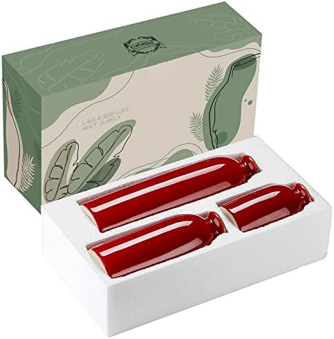 Ceramic Red Vase Set 3 Piece Modern Farmhouse Decor