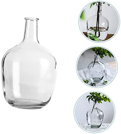 STOBAZA Clear Hydroponic Vase for Indoor Decor