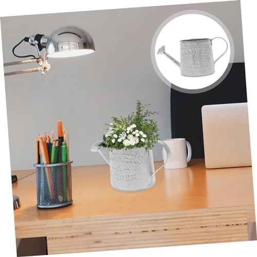 3pcs Vintage Galvanized Metal Flower Vase Watering Can Plant Holder