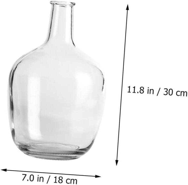 STOBAZA Clear Hydroponic Vase for Indoor Decor