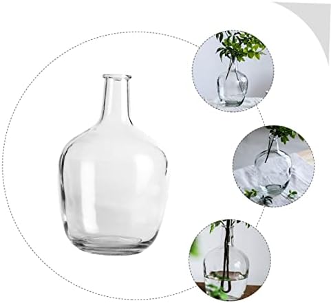 STOBAZA Clear Hydroponic Vase for Indoor Decor