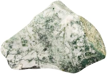 Green Tree Agate 3 Inch Raw Mineral Specimen Collectible Stone