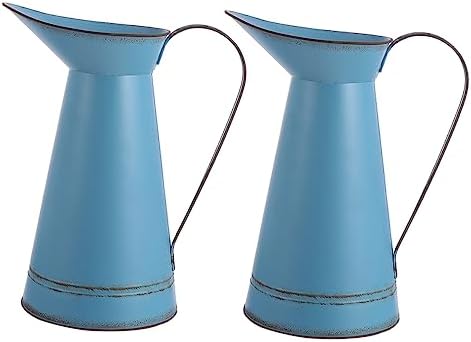 STOBAZA 2pcs Rustic Iron Flower Pot Vintage Metal Vase