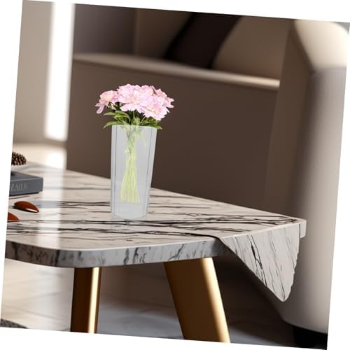 STOBAZA Clear Hydroponic Vase for Home Decor and Occasions