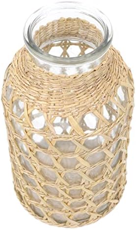 Stobaza 1Pc Rattan Woven Glass Vase for Home Decor