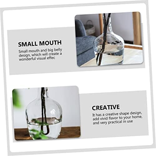 STOBAZA Clear Hydroponic Vase for Indoor Decor