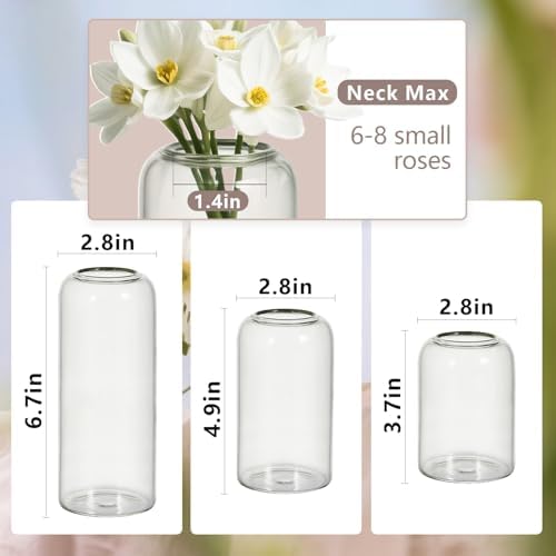 Tahnach Glass Bud Vases Set of 3 Clear Vases for Centerpieces
