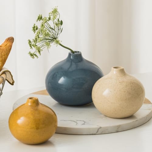 Ceramic Vase Set of 3 for Home Decor