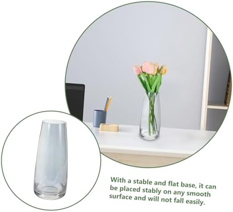 Modern Iridescent Glass Vase for Home Decor and Hydroponic Use