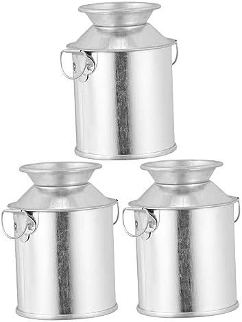 STOBAZA 3pcs Vintage Iron Art Flower Bucket Rustic Planter Containers for Home Decor Dried Plants