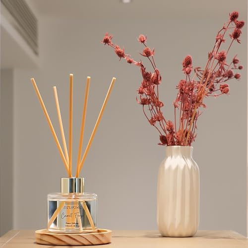 100ml Coconut Scent Diffuser with 6 Fiber Sticks