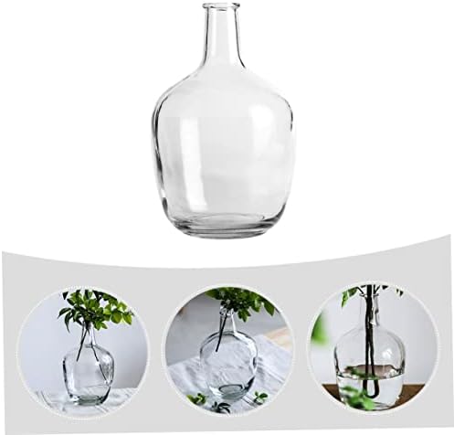 STOBAZA Clear Hydroponic Vase for Indoor Decor