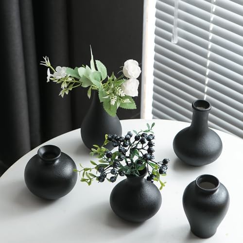 Tanvecle Small Black Ceramic Vase Set of 5