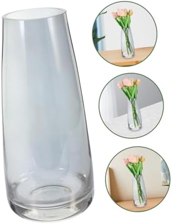 Modern Iridescent Glass Vase for Home Decor and Hydroponic Use