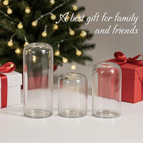 Tahnach Glass Bud Vases Set of 3 Clear Vases for Centerpieces