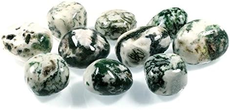 CrystalAge Tree Jasper Tumble Stones Pack of 10