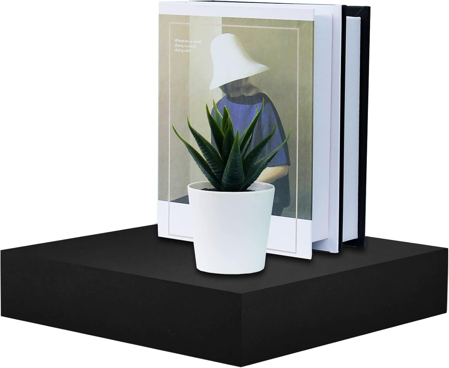 WELLAND 9 14 Inch Black Floating Shelves for Wall