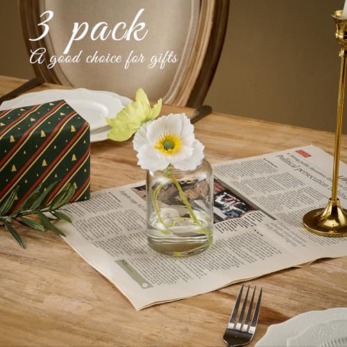 Tahnach Glass Bud Vases Set of 3 Clear Vases for Centerpieces