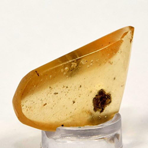 HQRP 29mm Copal with Insects Natural Mineral Stone