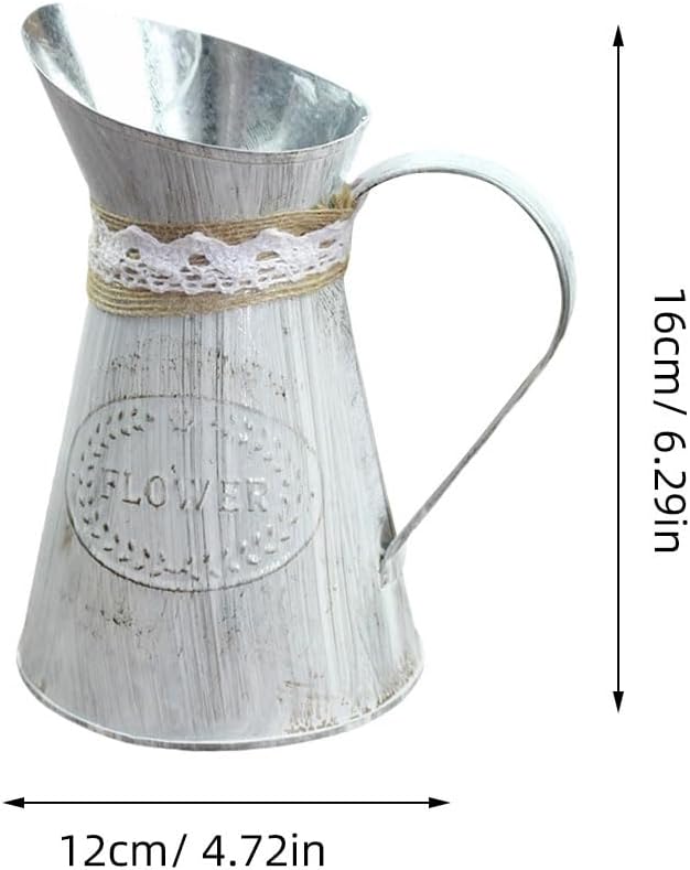 Vintage Iron Watering Can for Indoor Plants and Home Decor