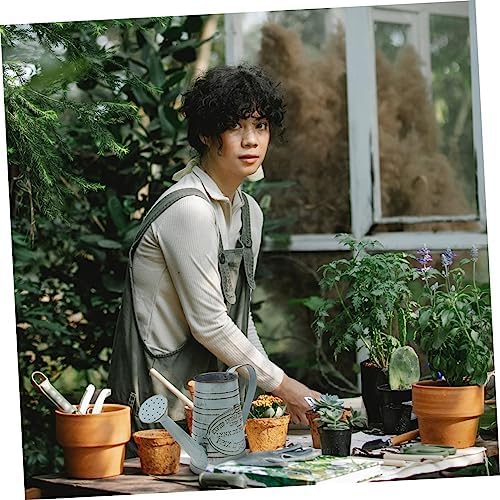 Vintage Style Iron Flower Vase for Dried Flowers