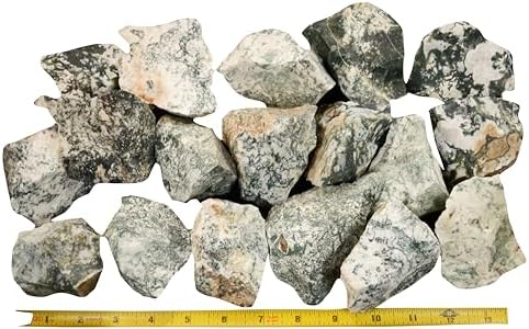 Green Tree Agate 3 Inch Raw Mineral Specimen Collectible Stone