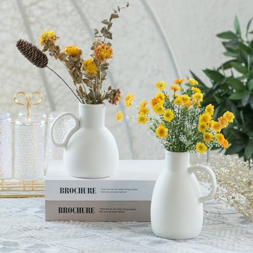 Tanvecle White Ceramic Vase Set 2 Small Vases with Handles