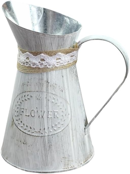 Vintage Iron Watering Can for Indoor Plants and Home Decor