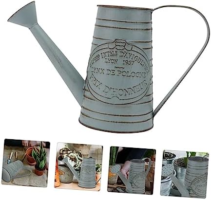 Vintage Style Iron Flower Vase for Dried Flowers