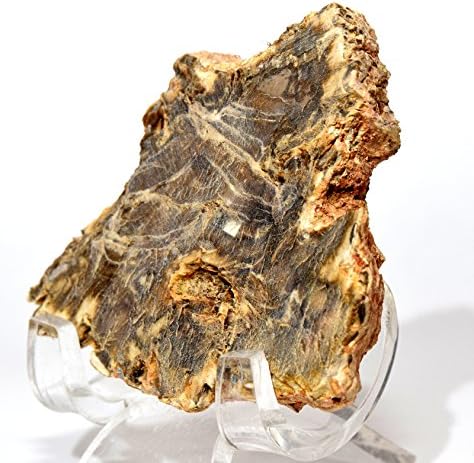 HQRP 24 Brown Petrified Wood Slab Natural Fossil Agate Crystal Decor Stone Slice Madagascar