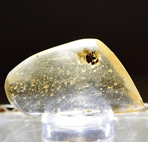 HQRP 29mm Copal with Insects Natural Mineral Stone