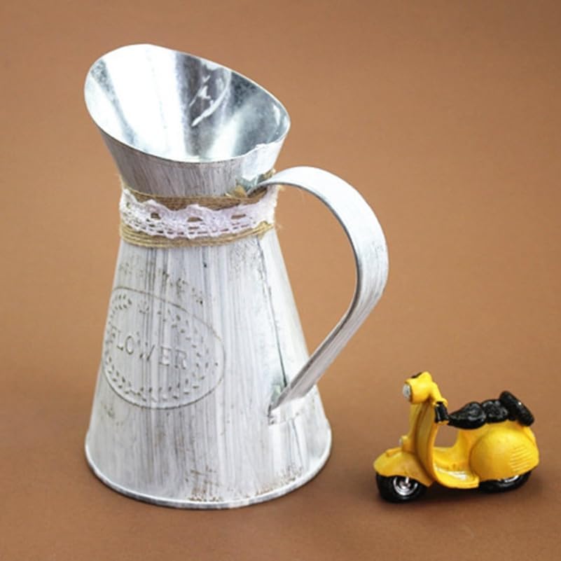 Vintage Iron Watering Can for Indoor Plants and Home Decor