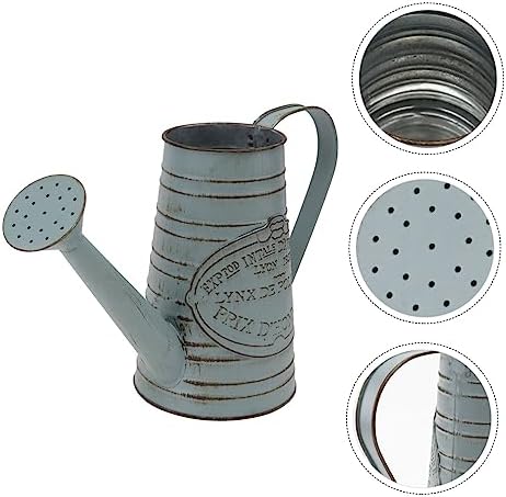 Vintage Style Iron Flower Vase for Dried Flowers