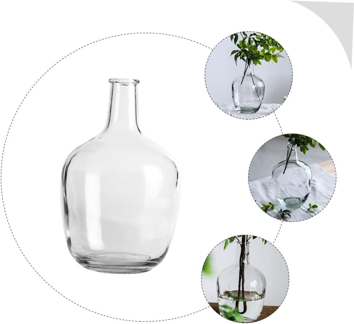 STOBAZA Clear Hydroponic Vase for Indoor Decor